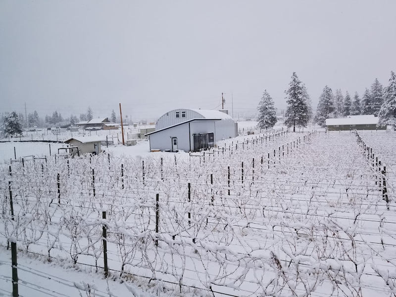 Synchromesh Wines - Okanagan Falls, BC